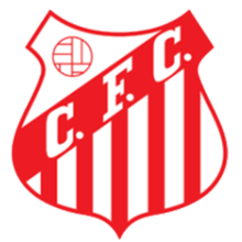 https://img.dpkcj.com/img/football/team/8728cd2983f210af6bbca23b86020738.png