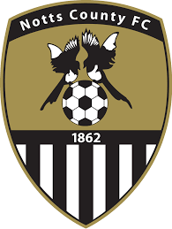 https://img.dpkcj.com/img/football/team/9e230c89a846b9cadf91884918fa7611.png